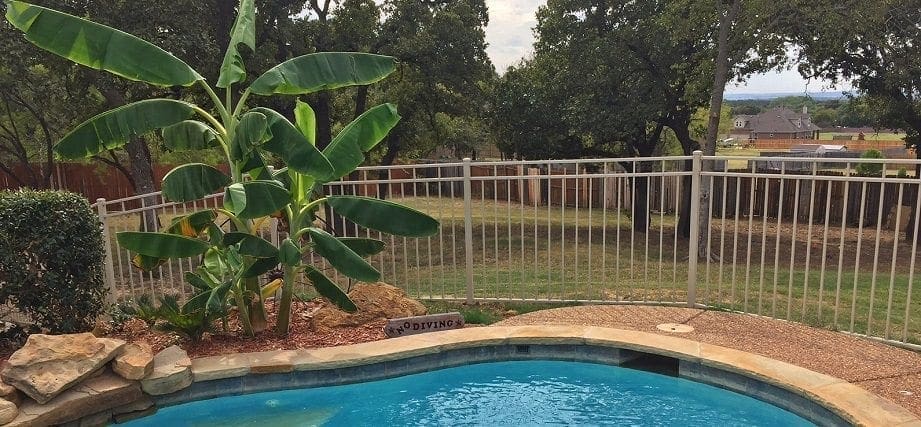 burleson-pool-fence