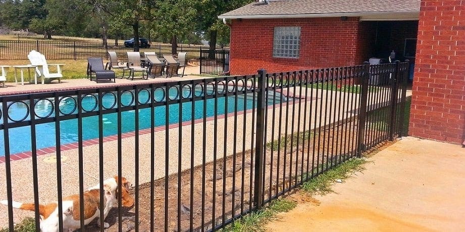dog-pool-fence